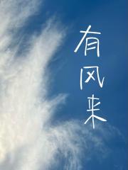 有风来