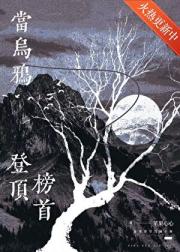 小乌鸦，但登顶榜首[全息]