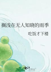 搁浅在无人知晓的雨季