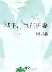 陛下,臣在护妻