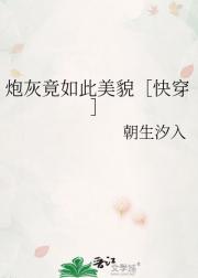 炮灰竟如此美貌［快穿］