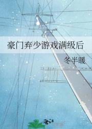 豪门弃少游戏满级后