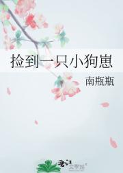 捡到一只小狗崽