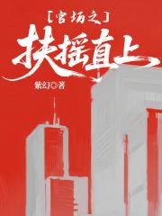 官场之扶摇直上