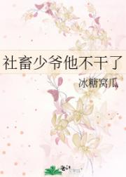 社畜少爷他不干了