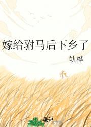 嫁给驸马后下乡了