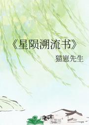 星陨溯流书