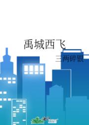 禹城西飞