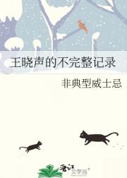 王晓声的不完整记录