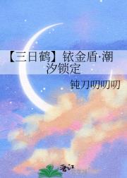 【三日鹤】铱金盾·潮汐锁定