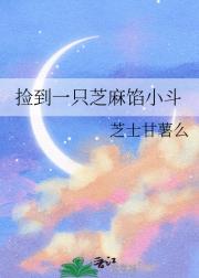 捡到一只芝麻馅小斗