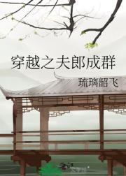 穿越之夫郎成群