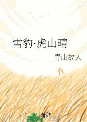 雪豹·虎山晴
