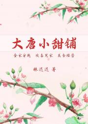 大唐小甜铺