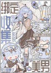 绑定美男收集系统