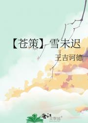 【苍策】雪未迟
