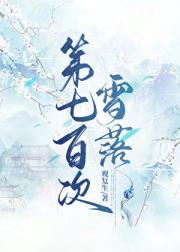 第七百次雪落