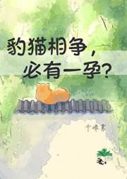 豹猫相争,必有一孕?