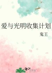 爱与光明收集计划