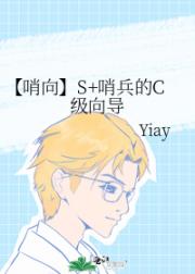 【哨向】S+哨兵的C级向导