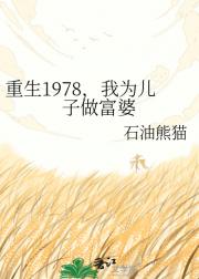 重生1978，我为儿子做富婆