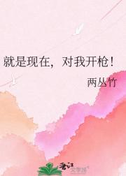 就是现在,对我开枪!