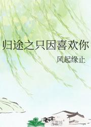 归途之只因喜欢你