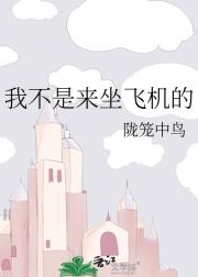 我不是来坐飞机的