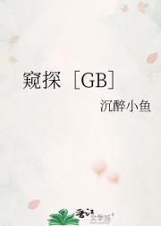 窥探［GB］