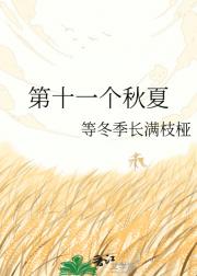 第十一个秋夏