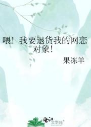 喂!我要退货我的网恋对象!