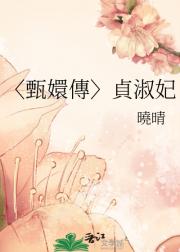 〈甄嬛傳〉貞淑妃