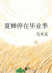 夏蝉停在毕业季