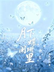 月下蝶，阑珊里