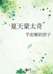 夏天蒙太奇