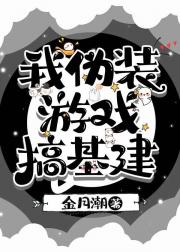 我伪装游戏搞基建
