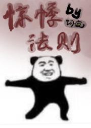 惊悸法则【无限】