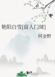 艳阳白雪[盲人门球]