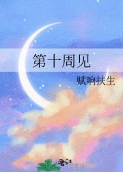 第十周见