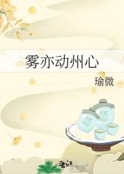 雾亦动州心