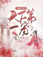 我夫君天下第一宠