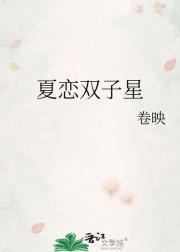 夏恋双子星