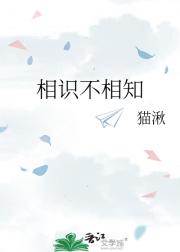 相识不相知