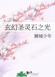 玄幻圣灵石之光