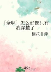 ［全职］怎么好像只有我穿越了