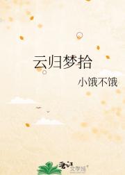 云归梦拾