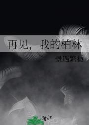 再见，我的柏林