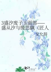 3盛汐废子玉面郎——盛从汐与缓思飖(匠人