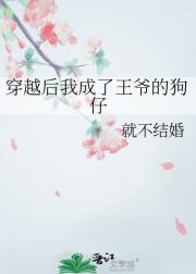 穿越后我成了王爷的狗仔