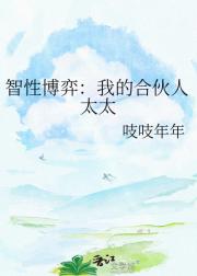 智性博弈：我的合伙人太太